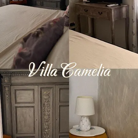Guest house Camelia